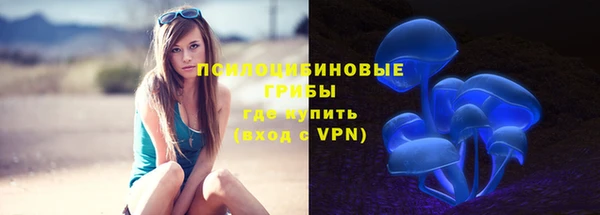эйфоретик Арсеньев