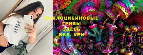 apvp Армянск