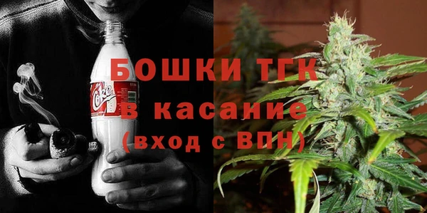 эйфоретик Арсеньев