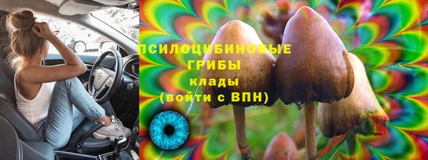 apvp Армянск