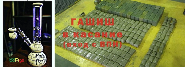 стаф Дмитров