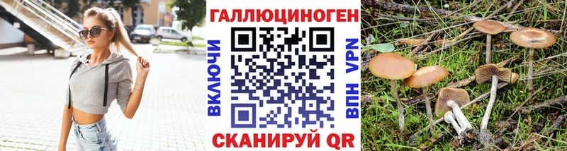 как найти закладки Горячий Ключ Галлюциногенные грибы MAGIC MUSHROOMS